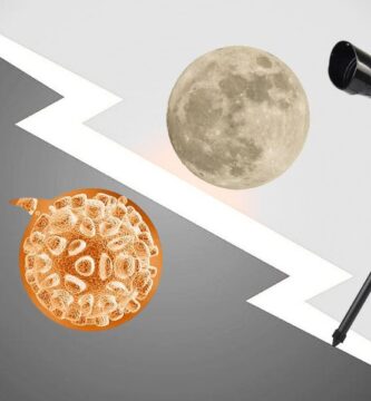 ¿Telescopio o Microscopio? El Dilema Educativo para Padres. ¿Cuál Elegir?