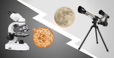 ¿Telescopio o Microscopio? El Dilema Educativo para Padres. ¿Cuál Elegir?