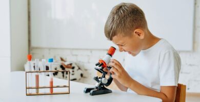 Los Mejores Microscopios para Principiantes - Guía Definitiva 2025