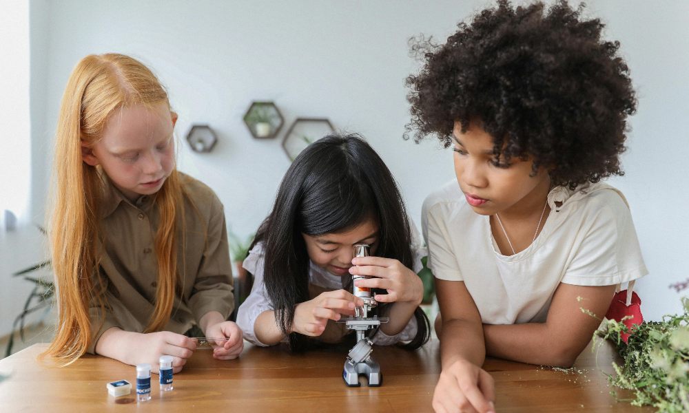 Los Mejores Microscopios para Principiantes: Guía Definitiva 2025