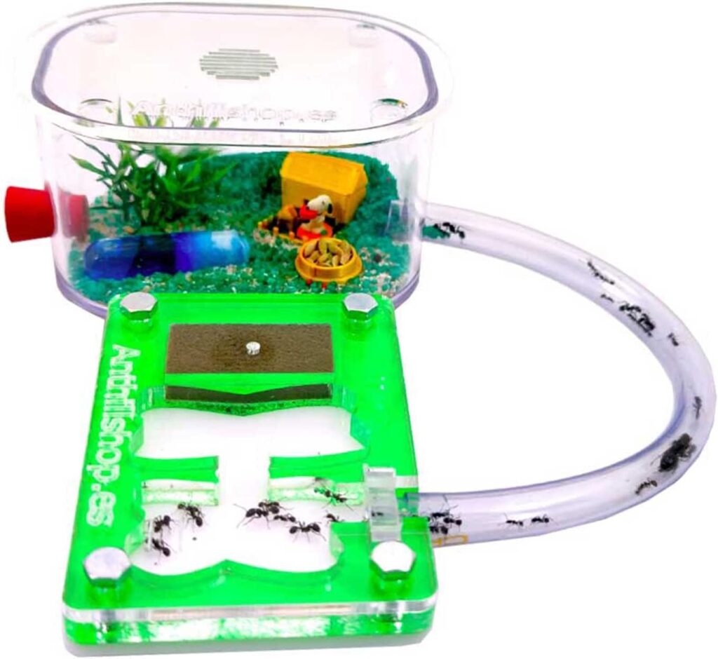 ANTHILLSHOP - Nuevo Hormiguero Educativo